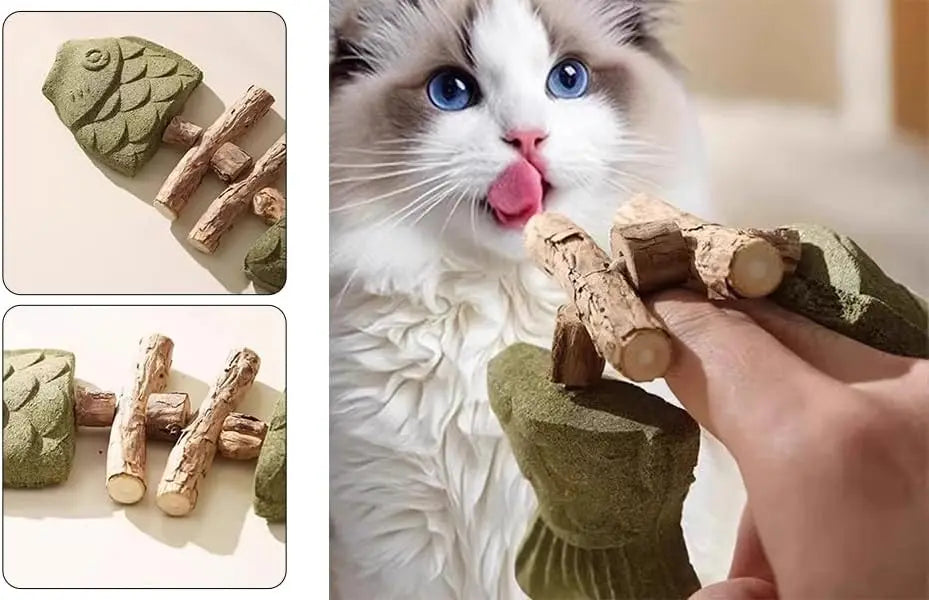 Cat Toys