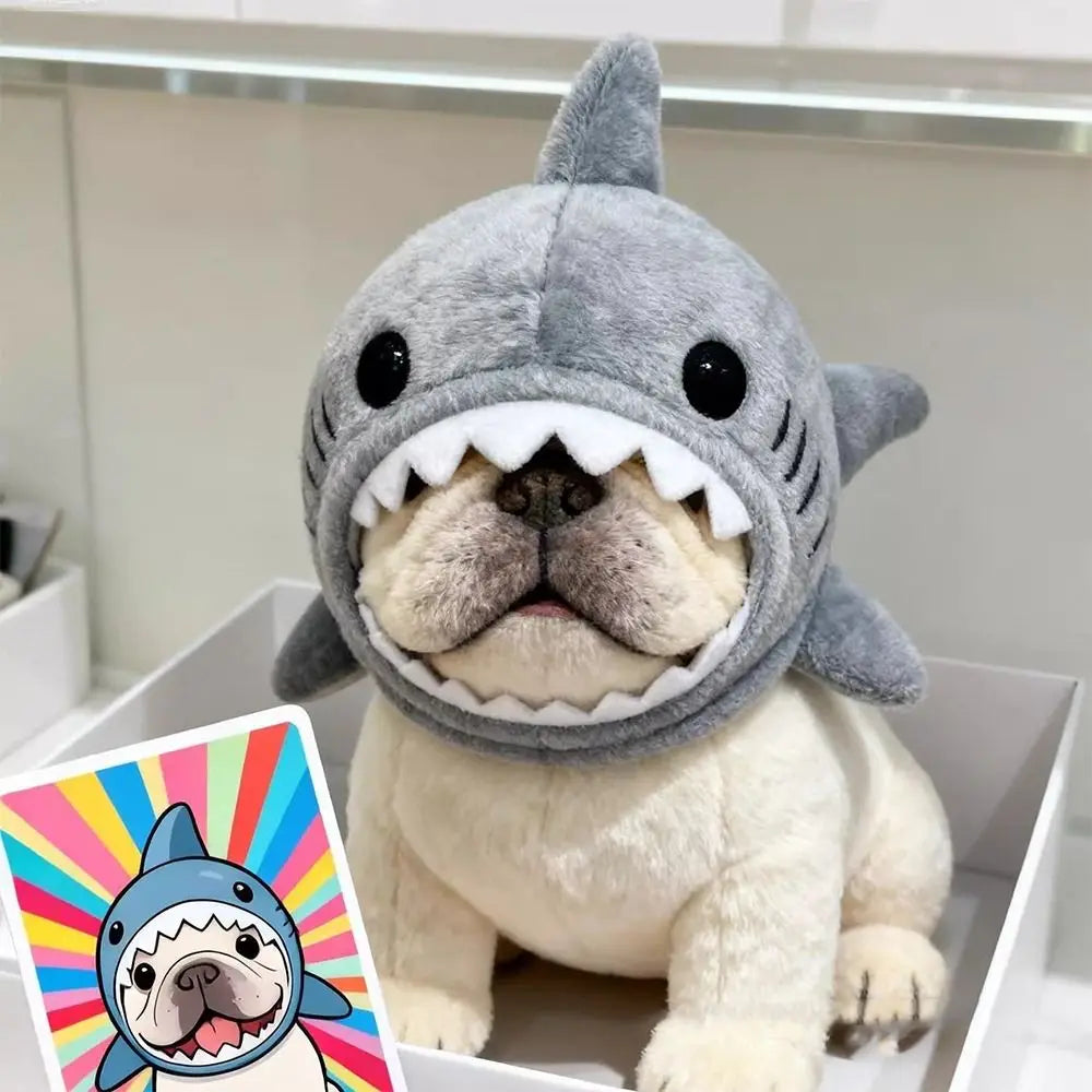 Shark-Themed Cat Cosplay & Winter Warmth