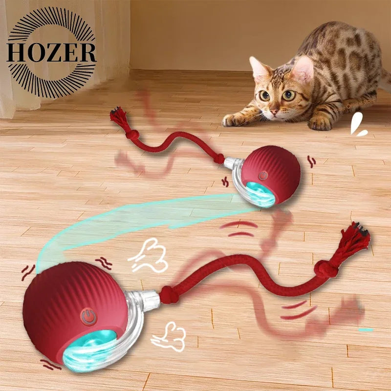 Smart Automatic Rolling Ball with Faux Tail