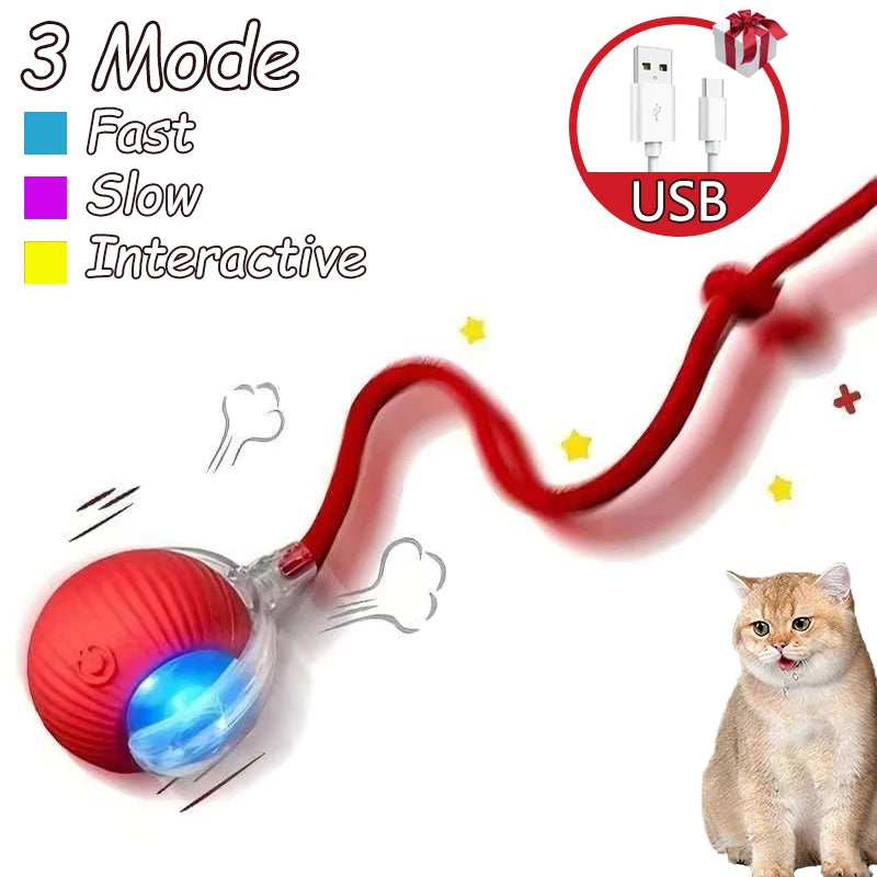 Smart Automatic Rolling Ball with Faux Tail