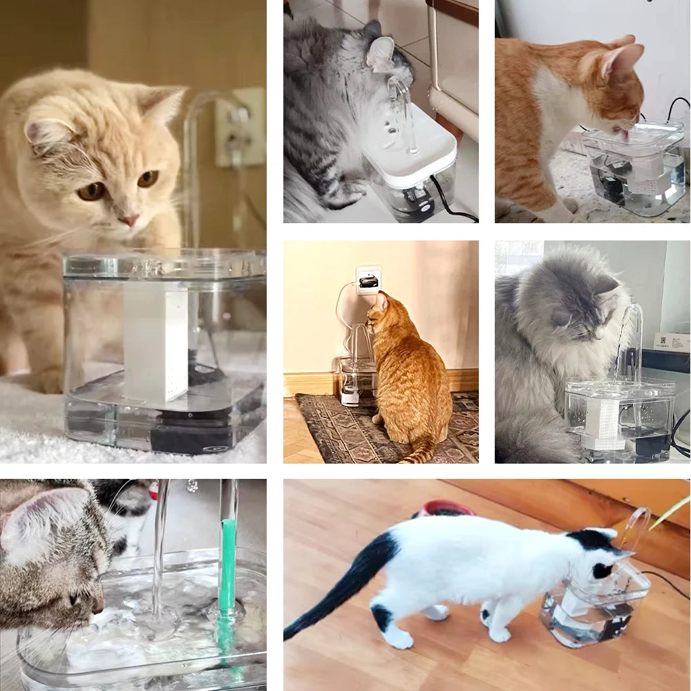 Automatic Ultra-Quiet Filtration System