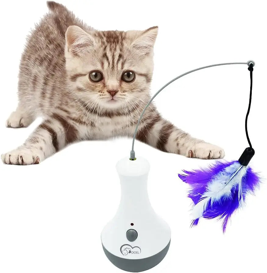 Interactive Automatic Feather Toys