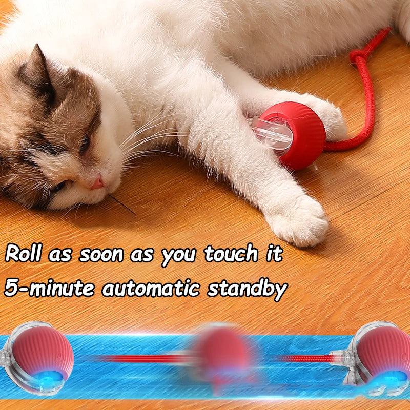 Smart Automatic Rolling Ball with Faux Tail