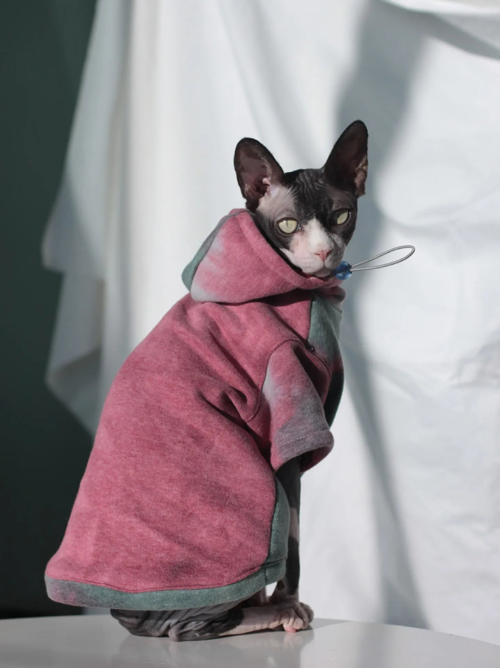 Thermal Fleece-Lined Cat Jacket