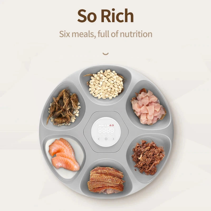 Automatic Feeder Wet & Dry Meal Management