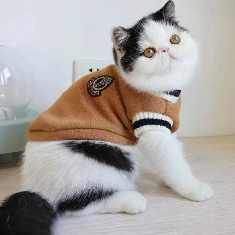 Winter Cat Pullover Collection