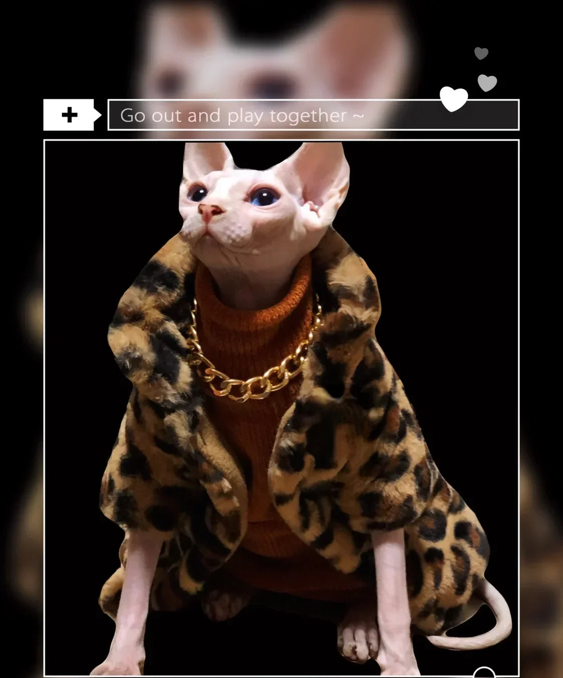Premium Thermal Leopard Jacket