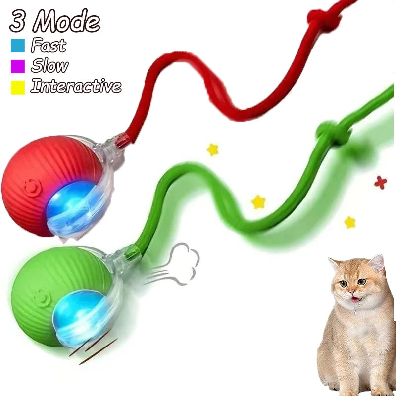 Smart Automatic Rolling Ball with Faux Tail