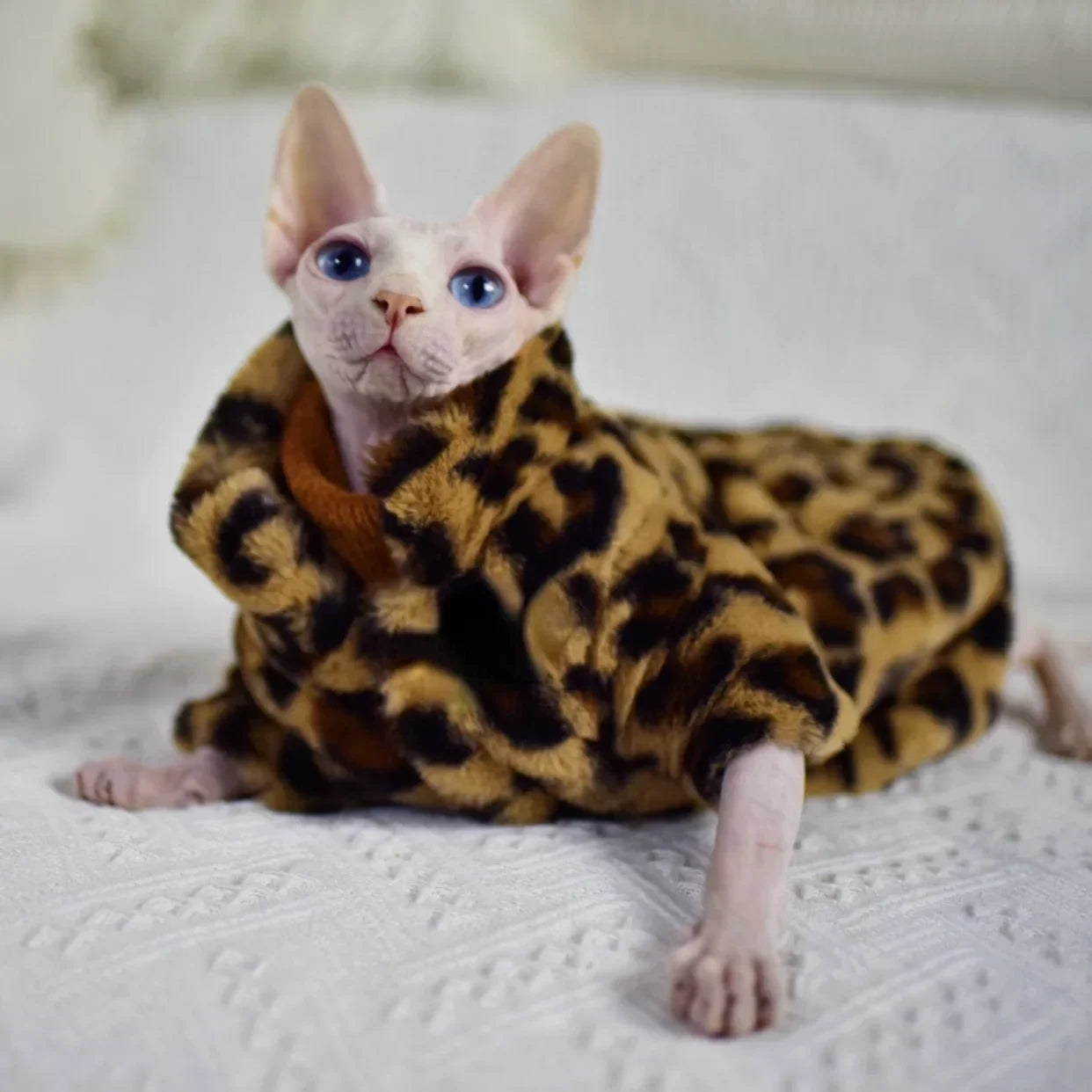 Premium Thermal Leopard Jacket