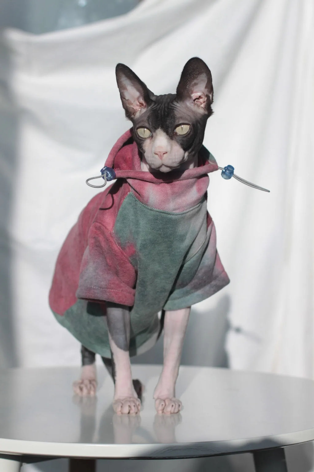 Thermal Fleece-Lined Cat Jacket