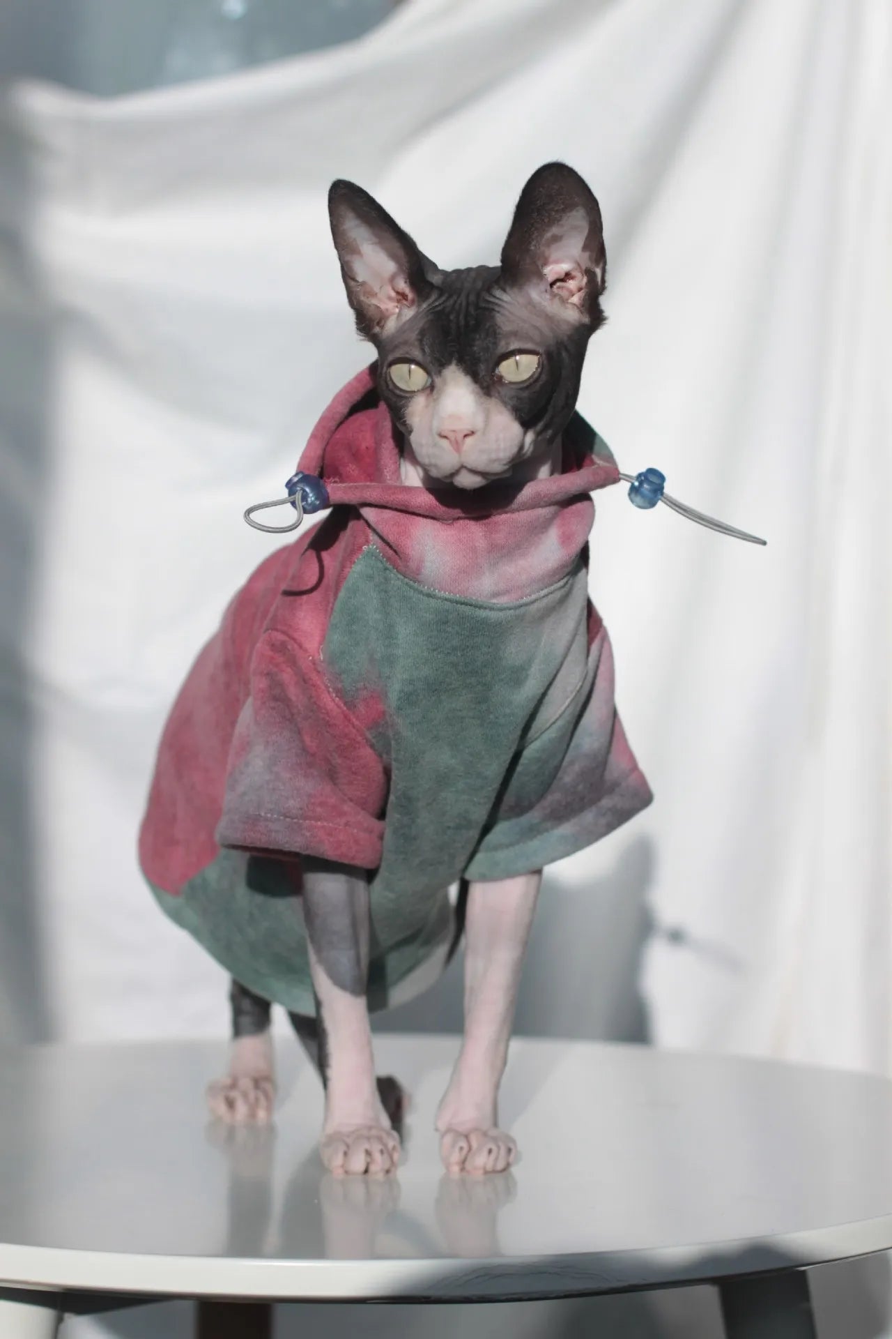 Thermal Fleece-Lined Cat Jacket