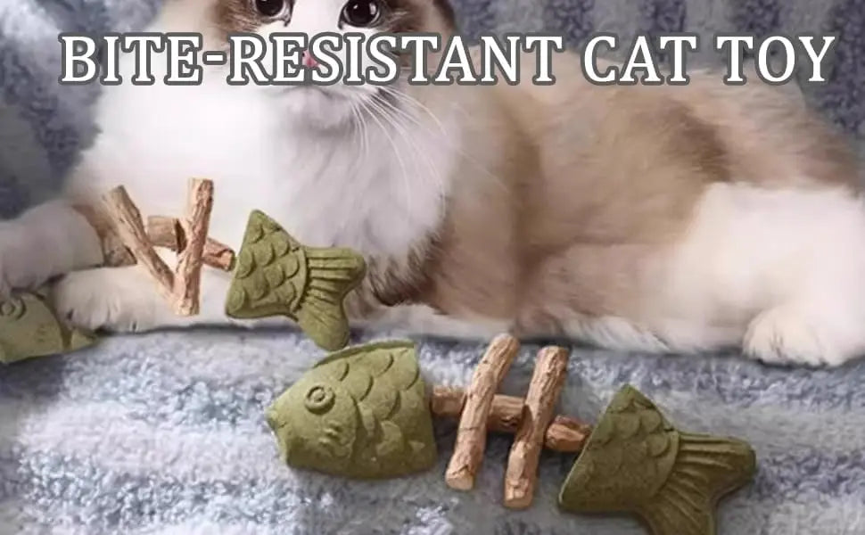 Smart Dental Fishbone Cat Toy