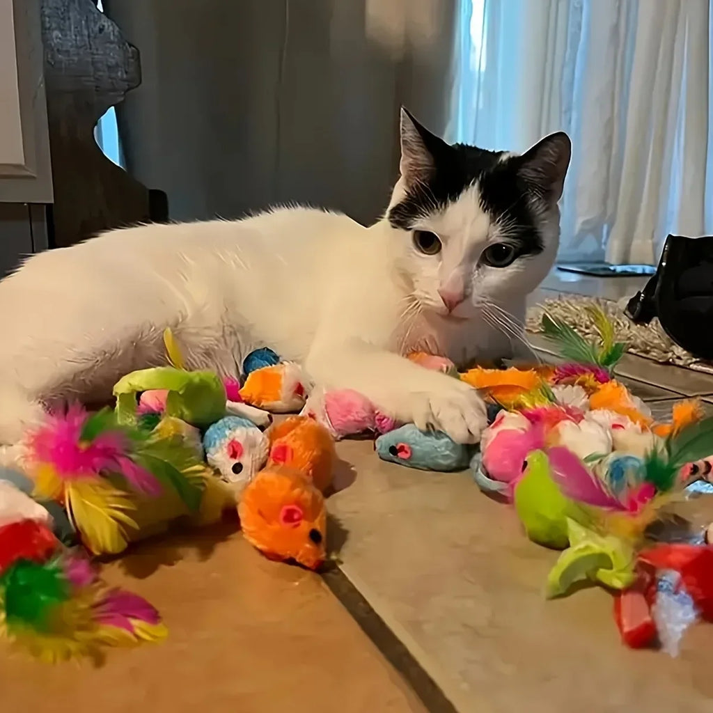56/28/14-Piece Multi-Cat Variety Pack