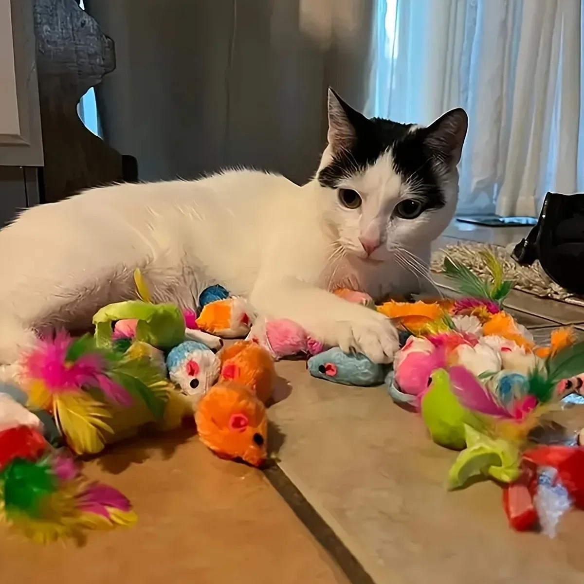 56/28/14-Piece Multi-Cat Variety Pack