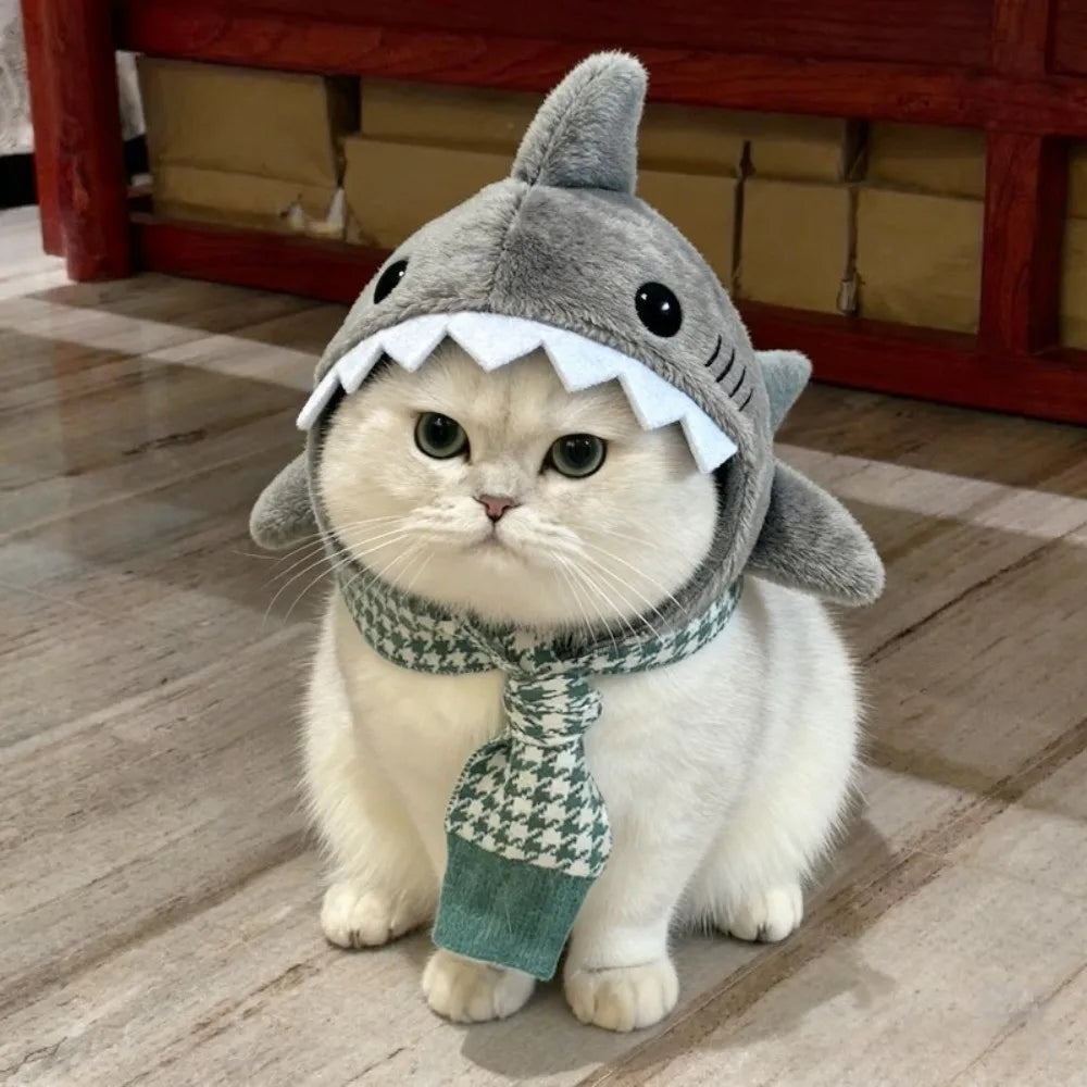 Shark-Themed Cat Cosplay & Winter Warmth