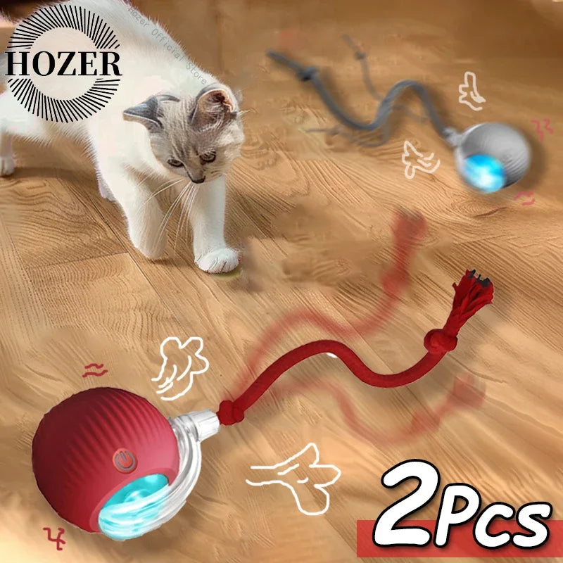 Smart Automatic Rolling Ball with Faux Tail