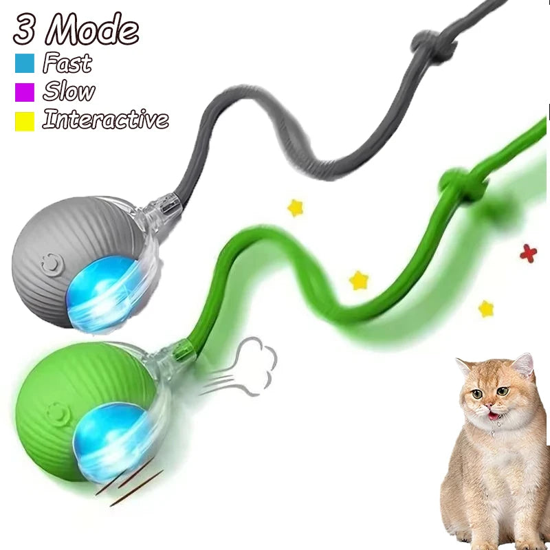 Smart Automatic Rolling Ball with Faux Tail