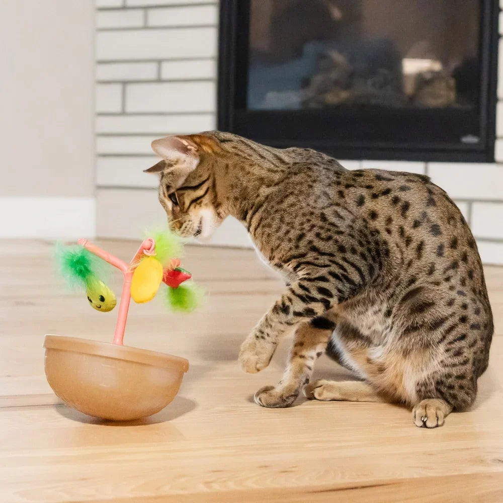 Interactive Fruit Bowl Wobble Toy