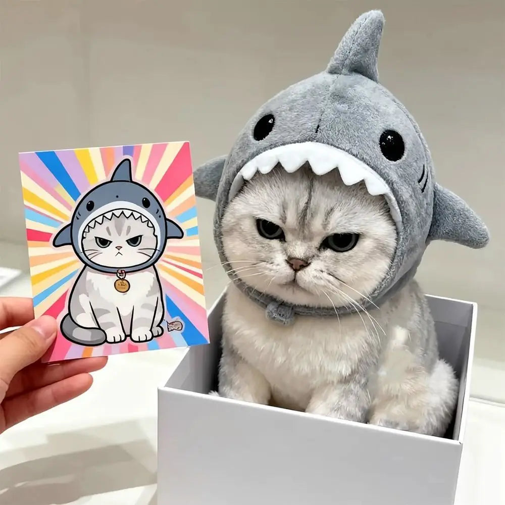 Shark-Themed Cat Cosplay & Winter Warmth