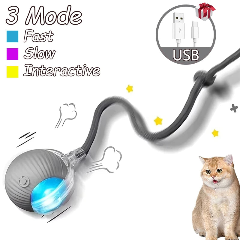 Smart Automatic Rolling Ball with Faux Tail