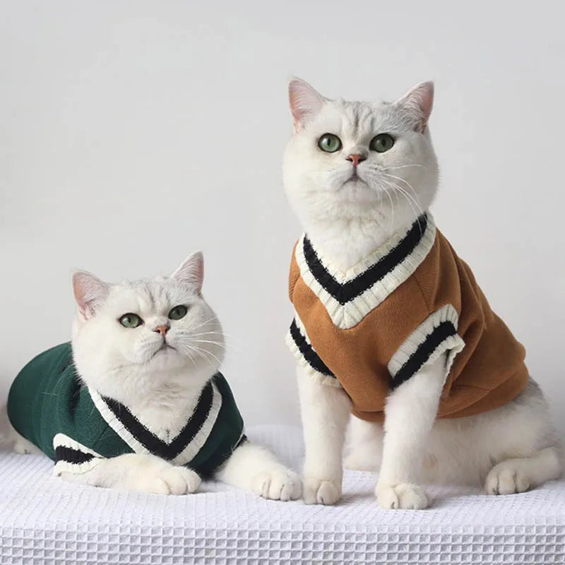 Winter Cat Pullover Collection