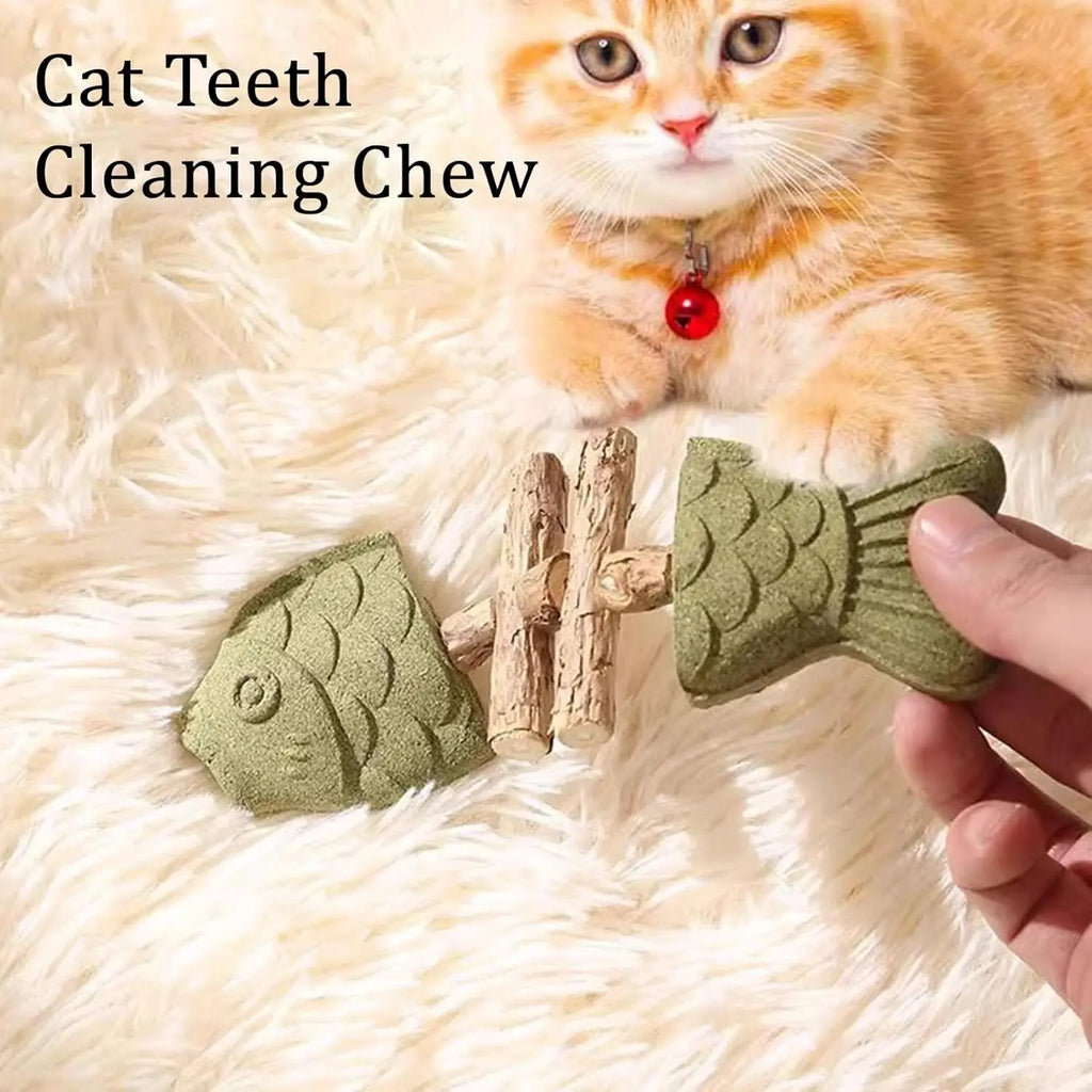 Smart Dental Fishbone Cat Toy