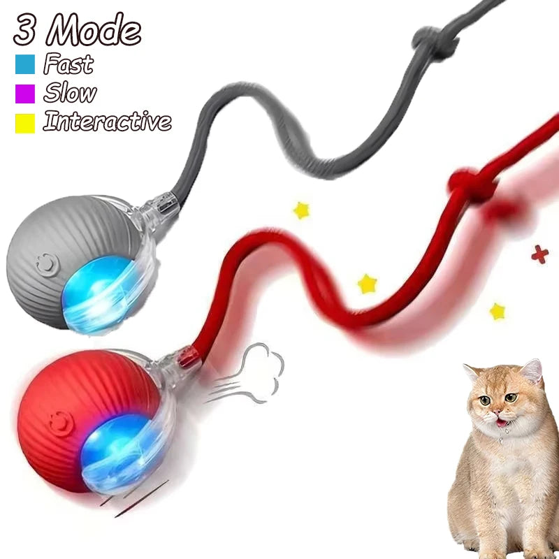 Smart Automatic Rolling Ball with Faux Tail